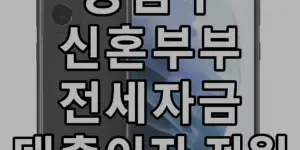 강남구 신혼부부 대출이자 지원