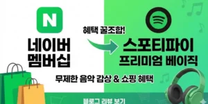 스포티파이 프리미엄 베이직
