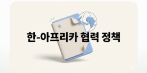 한-아프리카 협력 정책 정리, 복지지원금과 다른 핵심 내용