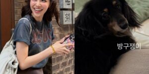 14년 열애 끝, 최수영 정경호 결별 인정과 최근 SNS 근황