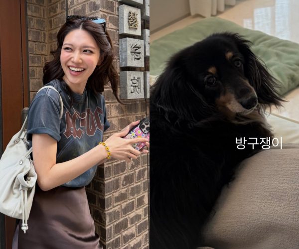 최수영 정경호 결별